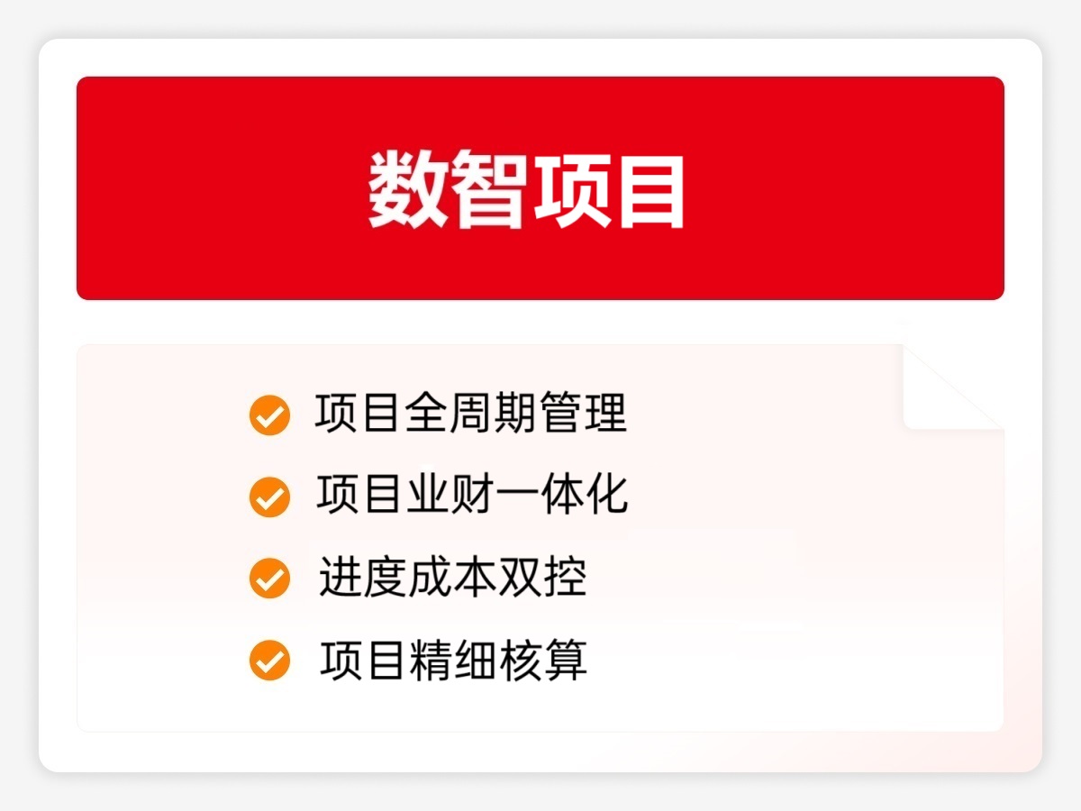 数智项目