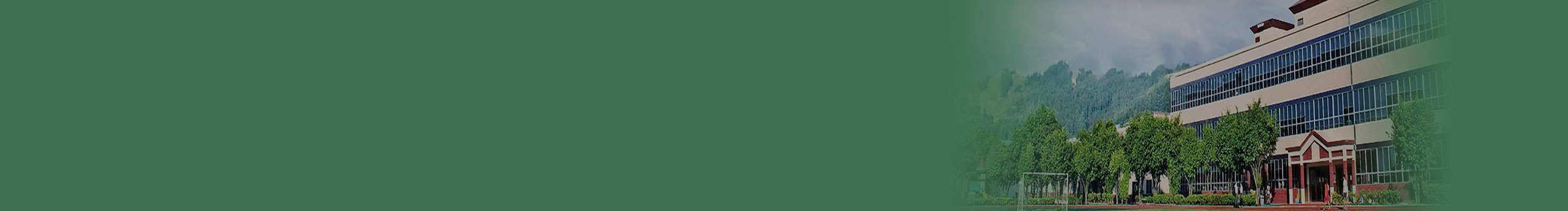 上海爱立诚教育投资发展有限公司